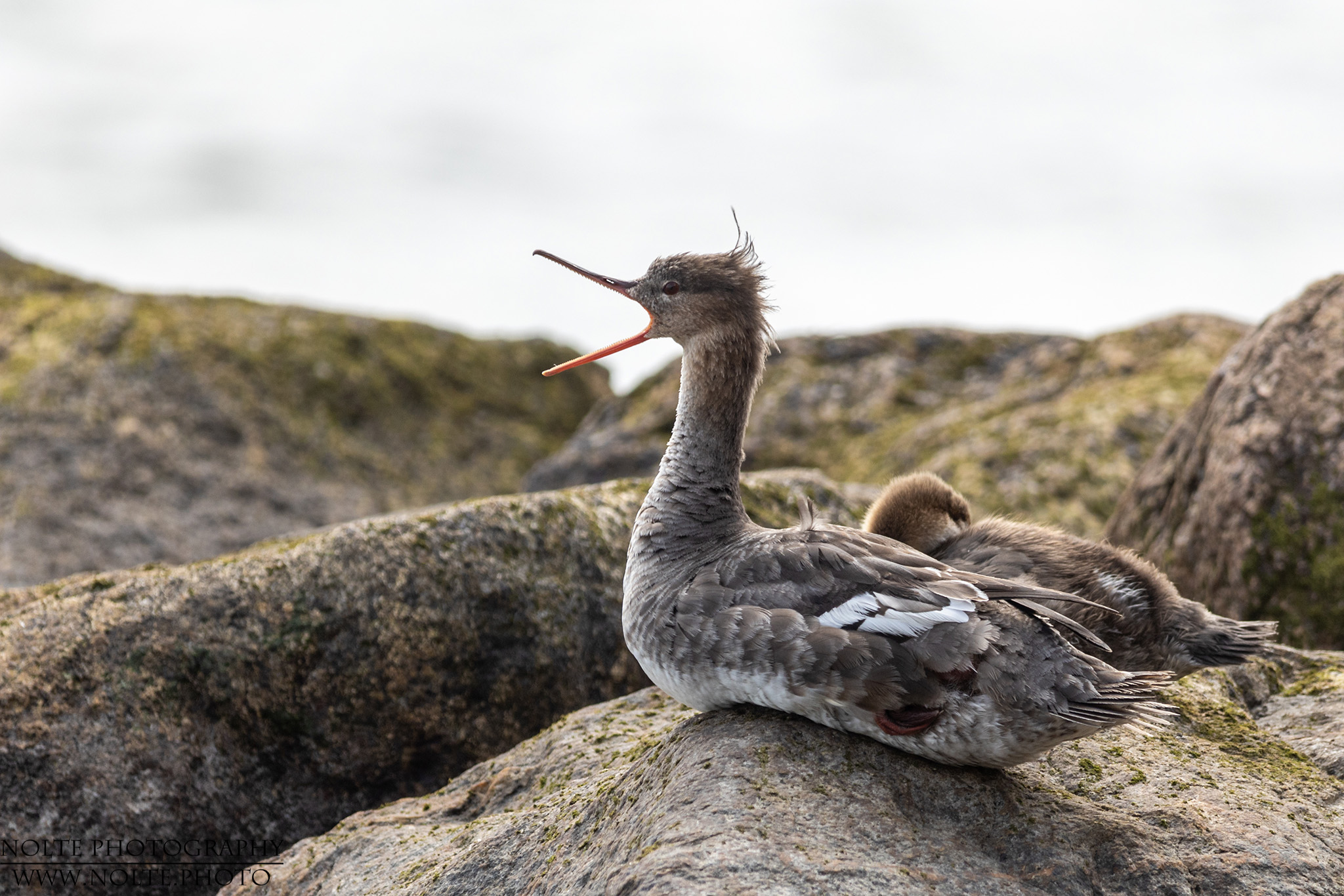 Mutti hat was zu sagen